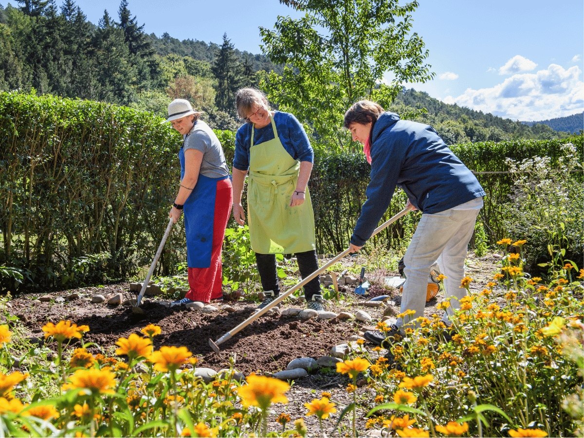 Die drei Personen arbeiten im Garten 