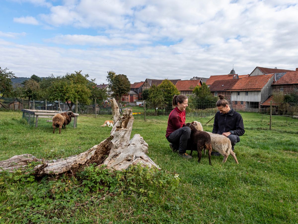 Personen die ein Tier streicheln