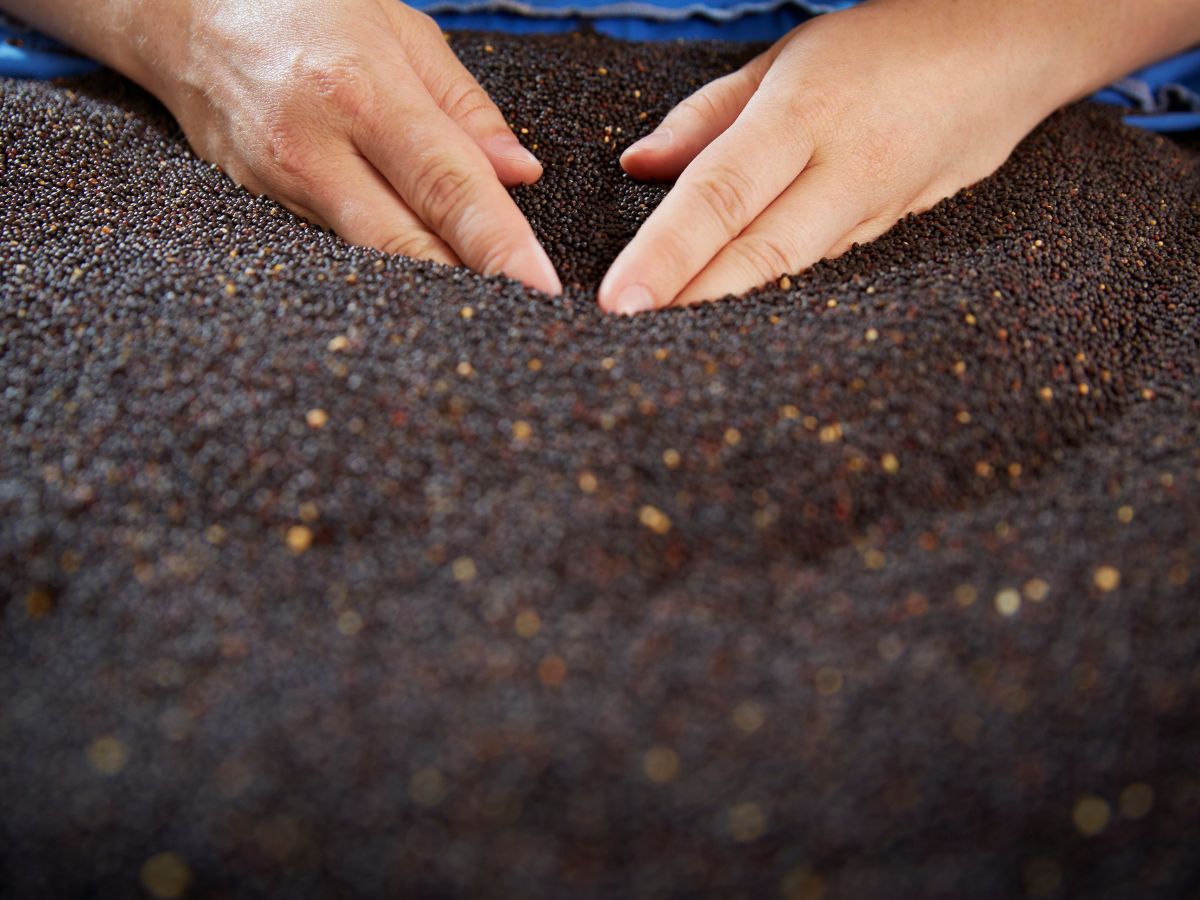 Eine Person die mit den Händen in der Erde gräbt 