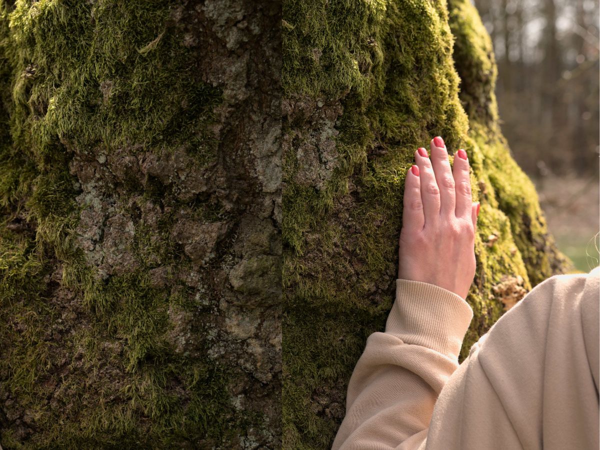 Eine Person berührt einen Baum mit der Hand 