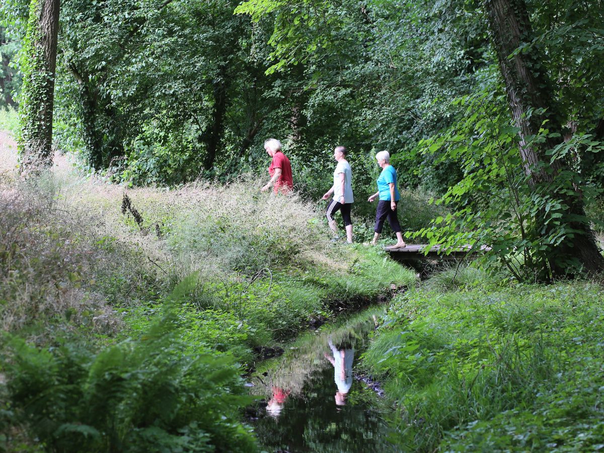 Personen die im Wald spazieren 
