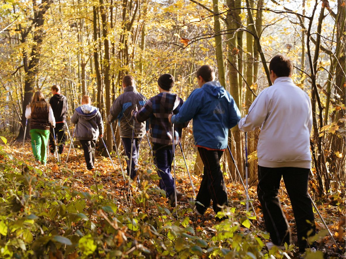 Eine Gruppe die im Wald wandert 