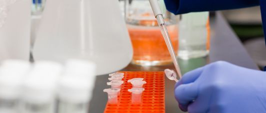 MEDIAN Kliniken sind auf das Corona-Virus gut vorbereitet MEDIAN Kliniken sind auf das Corona-Virus gut vorbereitet