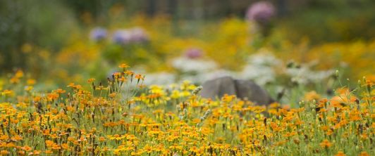 Frau Dr. Vogelgesang über Glücksspielsucht im Saarländischen Rundfunk Frau Dr. Vogelgesang über Glücksspielsucht im Saarländischen Rundfunk