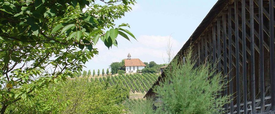 bad-duerkheim-psychosomatik-berg-kapelle.jpg