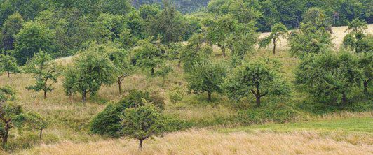 Neuer Chefarzt des Fachkrankenhauses 