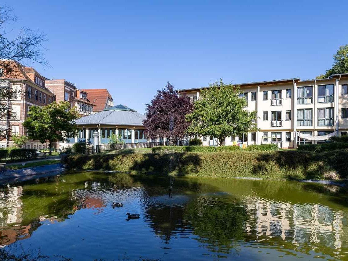 Die Gartenanlage der Einrichtung mit Teich 
