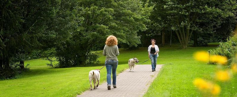 MEDIAN Klinik Freizeit und Umgebung Spaziergänger mit Hunden