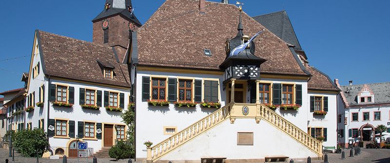 Der Ort Deidesheim in der Nähe der MEDIAN Privatklinik Berggarten Deidesheim