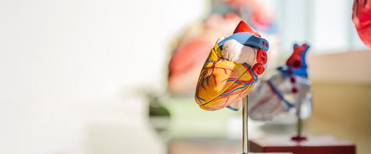 MEDIAN Klinik Flechtingen schafft erneut Top-Platzierung bei Herzerkrankungen MEDIAN Klinik Flechtingen schafft erneut Top-Platzierung bei Herzerkrankungen
