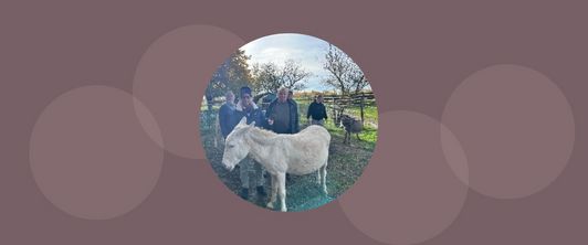 Ausflug der Klienten am 29. November 2025: Freude mit Tieren und Natur