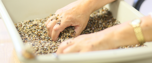 Welt-Rheuma-Tag Welt-Rheuma-Tag