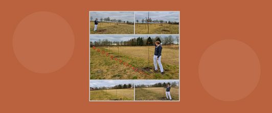 16 neue Apfelbäume für unsere Streuobstwiese