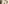  kalbe-anmeldung-und-aufnahme-header_01.jpg