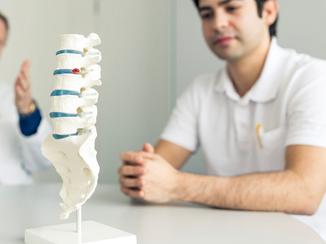 Ein Modell einer Wirbelsäule 