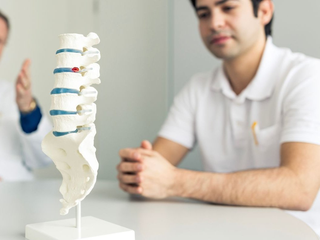 Ein Modell einer Wirbelsäule 