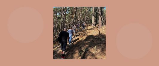 Waldbaden im Pfälzerwald: Entspannung inmitten der Natur Waldbaden im Pfälzerwald: Entspannung inmitten der Natur