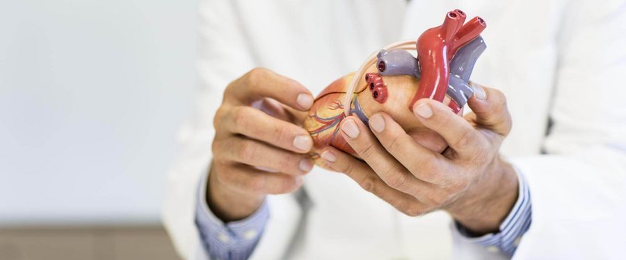 global-kardiologie-header.jpg