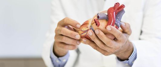 Patientenseminar „Plötzlicher Herztod“ in der Klinik Moselschleife des MEDIAN Reha-Zentrums