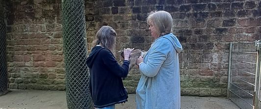 Gemeinsamer Besuch des Zoos in Kaiserslautern Gemeinsamer Besuch des Zoos in Kaiserslautern