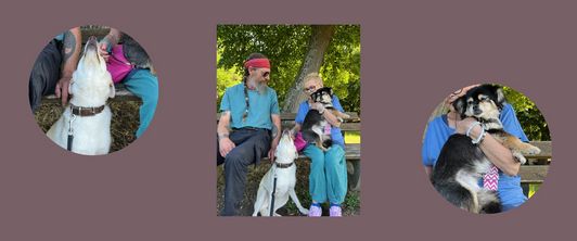 Therapiehunde zu Besuch im Garten des Soziotherapeutischen Zentrums Therapiehunde zu Besuch im Garten des Soziotherapeutischen Zentrums