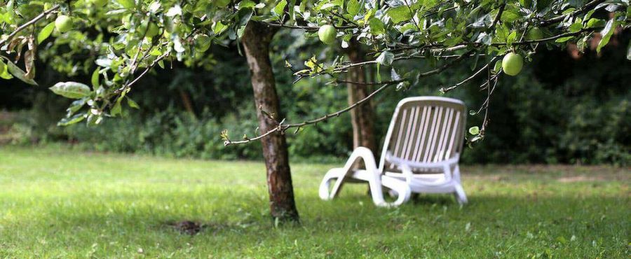 MEDIAN Klinik Hoppegarten Garten hoppegarten-freizeit-und-umgebung-header.jpg