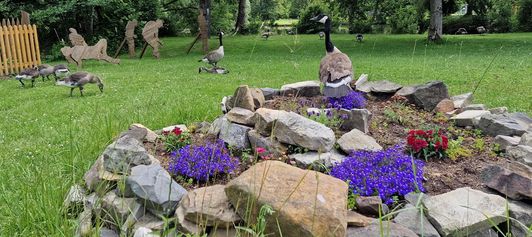 Sommerliche Impressionen aus dem Bereich der Gruppe “Garten, Natur und Umwelt” Sommerliche Impressionen aus dem Bereich der Gruppe “Garten, Natur und Umwelt”