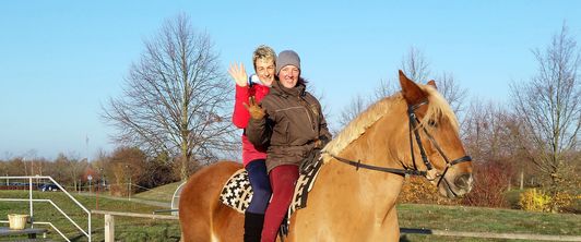 Hippotherapie im MEDIAN Klinikum Flechtingen Hippotherapie im MEDIAN Klinikum Flechtingen