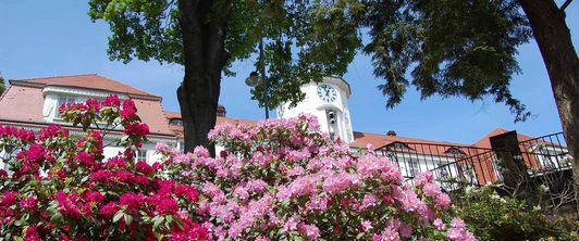 Vorankündigung: 29. Jahrestagung der GRVS vom 22.06. – 24.06.23 in der MEDIAN Klinik Bad Gottleuba Vorankündigung: 29. Jahrestagung der GRVS vom 22.06. – 24.06.23 in der MEDIAN Klinik Bad Gottleuba