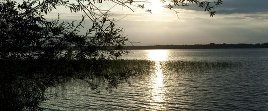 Oliver Schubbe: Traumatherapie in Reha und Psychosomatik Oliver Schubbe: Traumatherapie in Reha und Psychosomatik