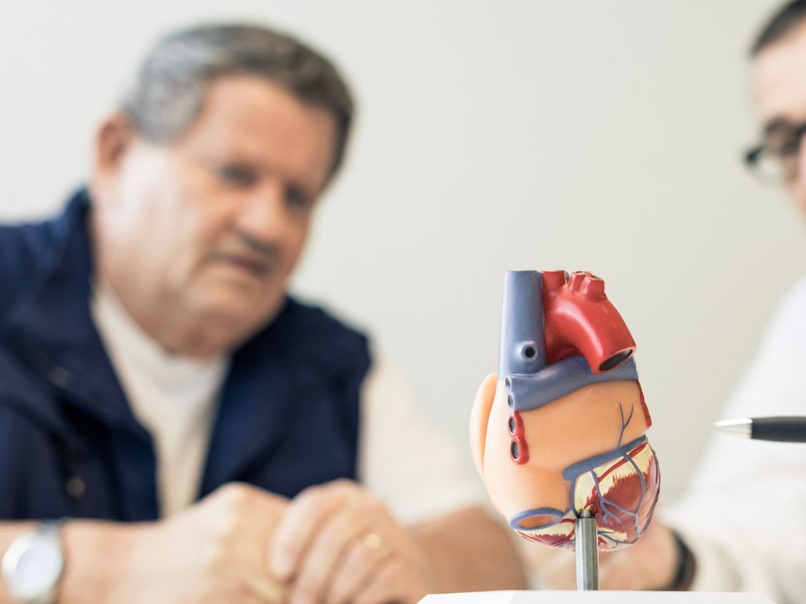 Ein Arzt zeigt mit seinem Stift auf ein Herz Modell