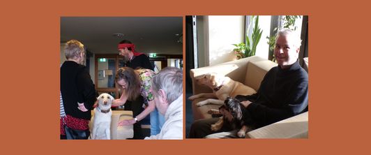 Tierischer Besuch: Therapiehunde Skye und Smiley sorgen für gute Stimmung Tierischer Besuch: Therapiehunde Skye und Smiley sorgen für gute Stimmung