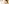  Header_Qualitaet_global.jpg