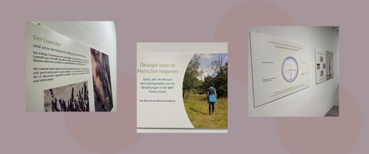 Ökologieausstellung in der MEDIAN Frankenpark Klinik Bad Kissingen – Die Verbindung von Mensch und Natur