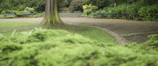  Golfstunden als Teil der Freizeittherapie