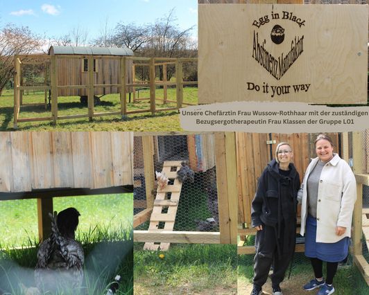 NEU in Steimel: Tiergestützte Therapie mit Hühnern NEU in Steimel: Tiergestützte Therapie mit Hühnern
