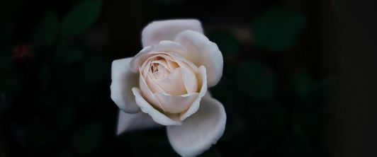 Aktueller Bericht vom 4.10 im Saarländischen Rundfunk Aktueller Bericht vom 4.10 im Saarländischen Rundfunk