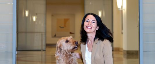 Therapeutin auf vier Pfoten