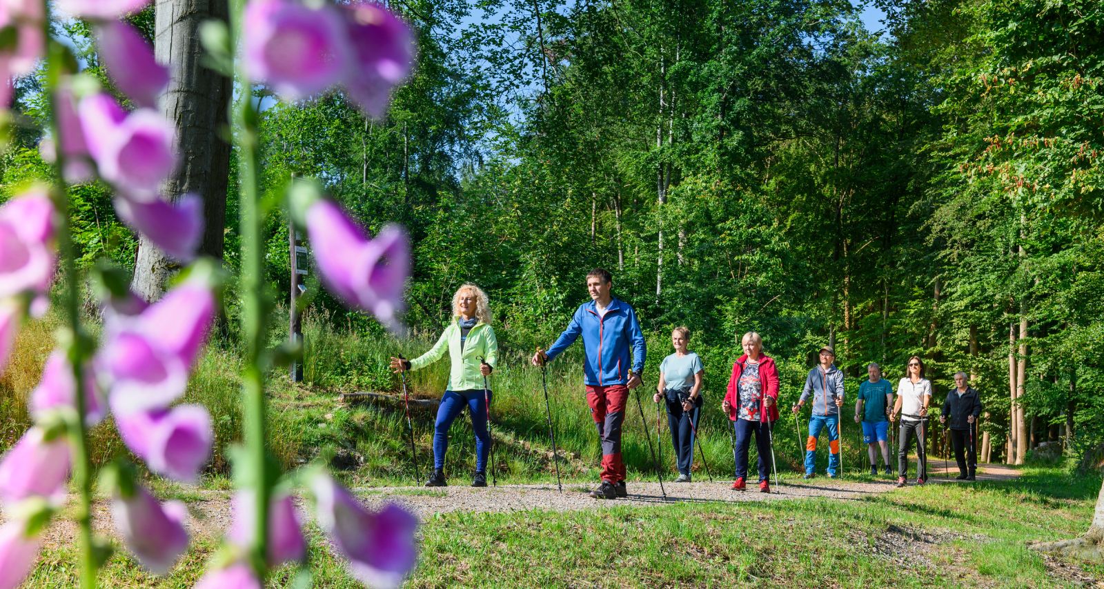 Eine Gruppe von Personen macht Nordic Walking