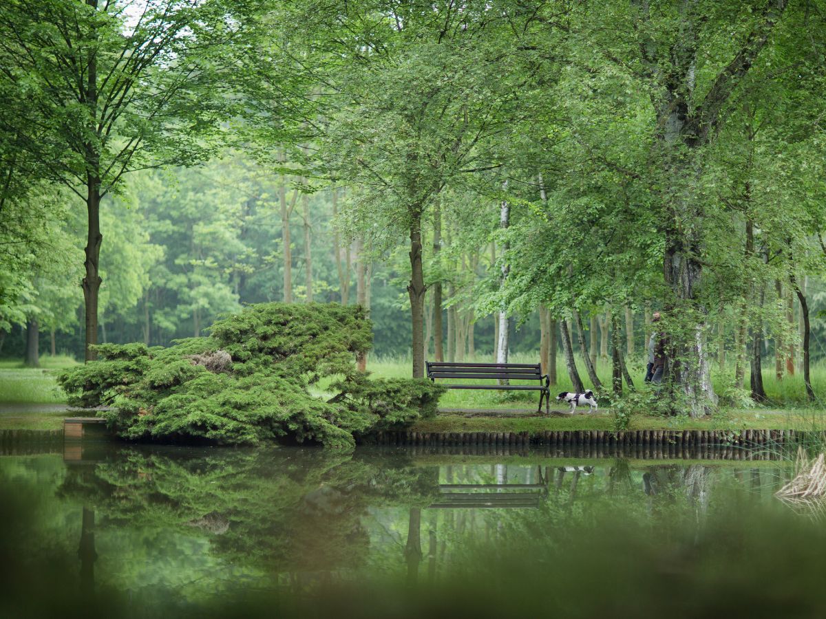 Im Vordergrund ein See und im Hintergrund sind die Parkbäume