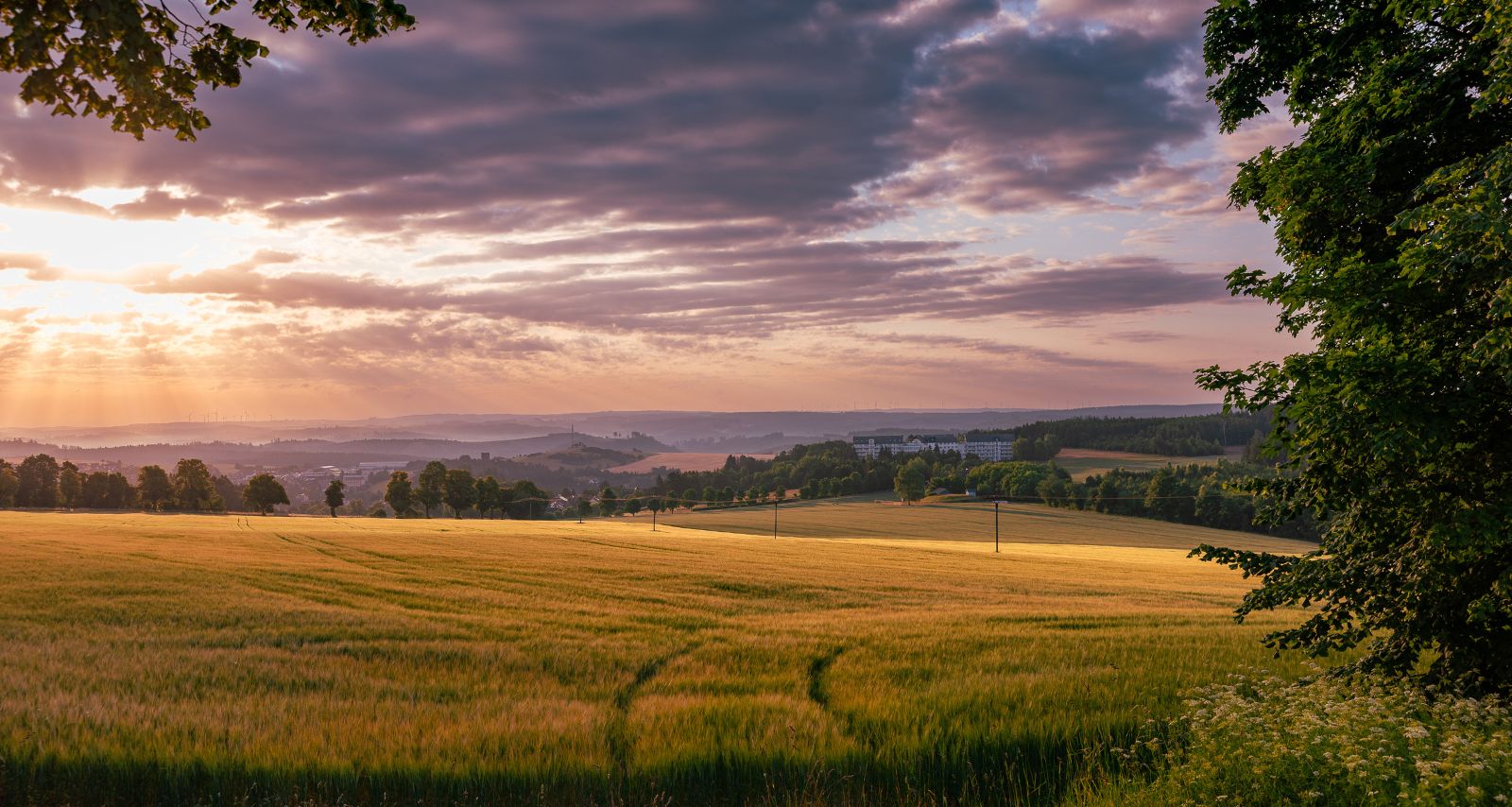 Ein Feld mit Blick auf die Einrichtung 