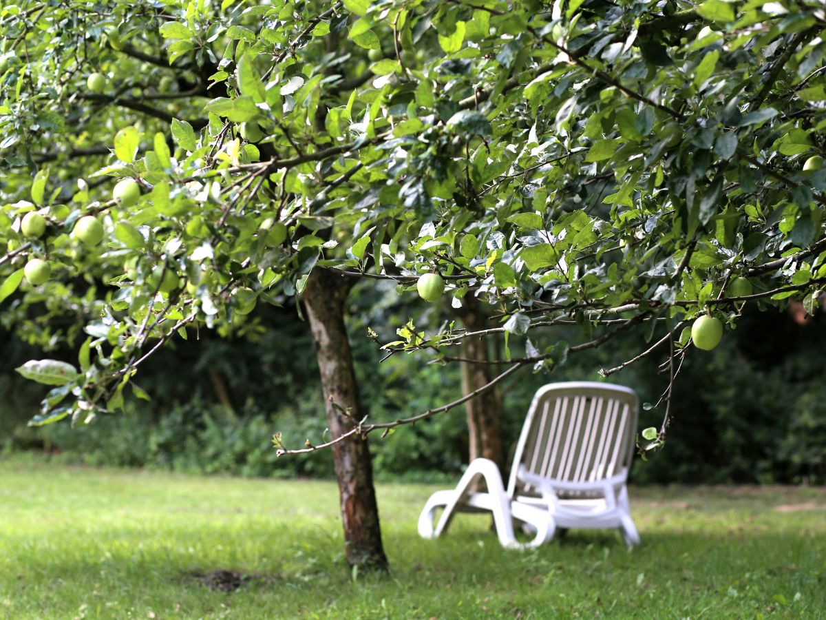 Eine weiße Liege neben einem Baum 