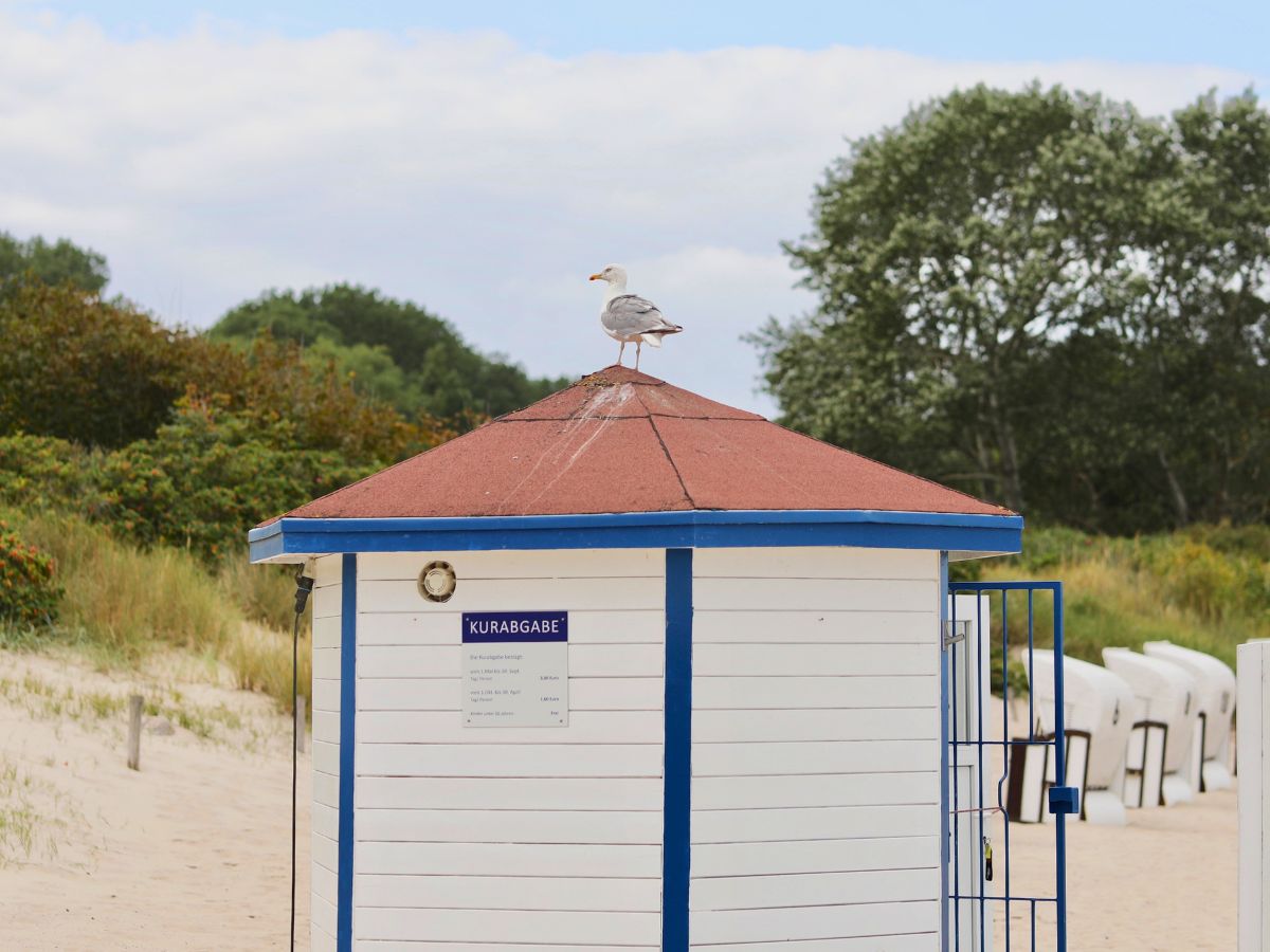 Umkleiderkabine und Strandkörbe an der Ostsee, nahe der MEDIAN Klinik Heiligendamm
