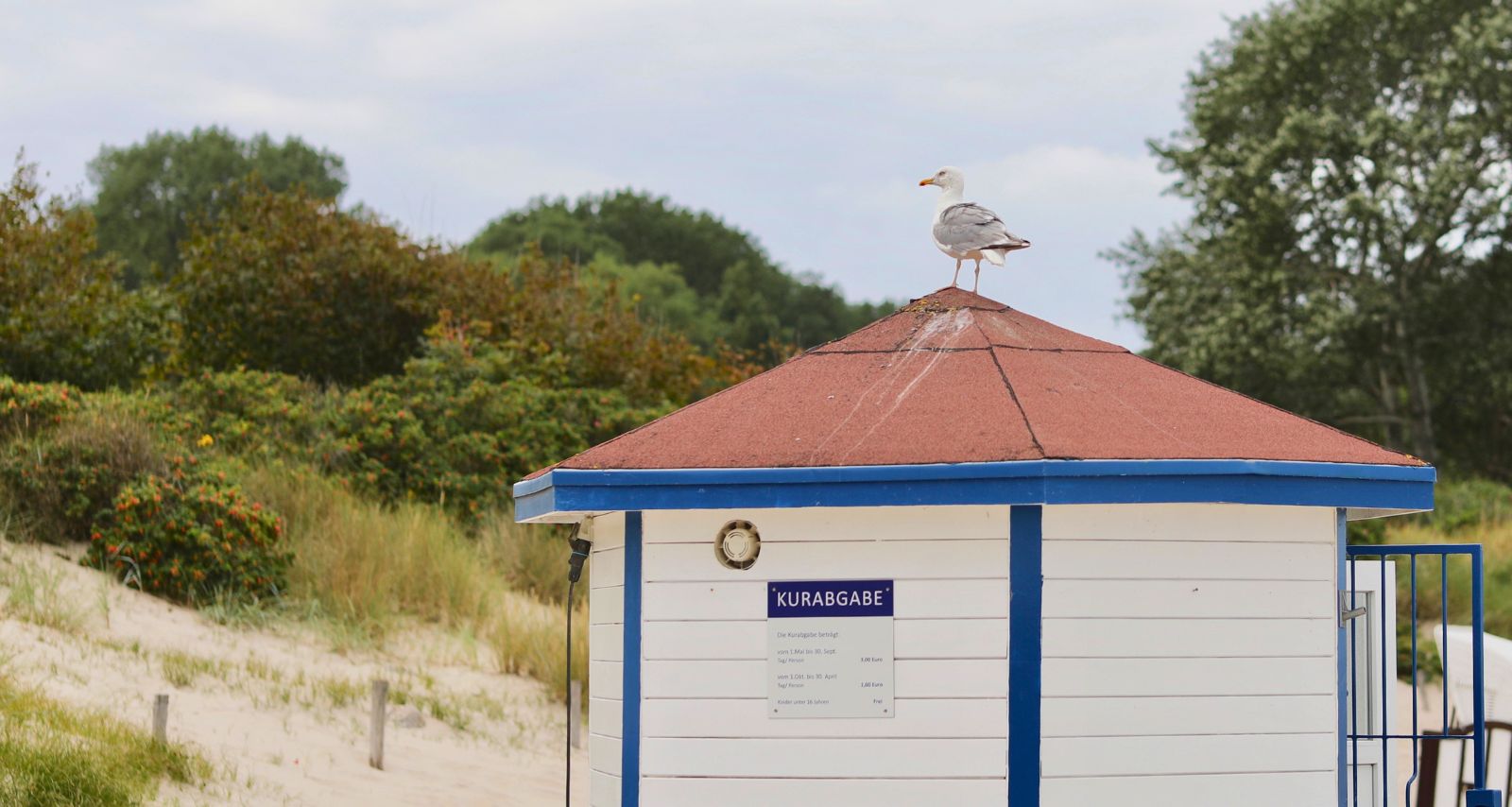 Mehrere Strandkörbe stehen nebeneinander aufgereiht am Strand