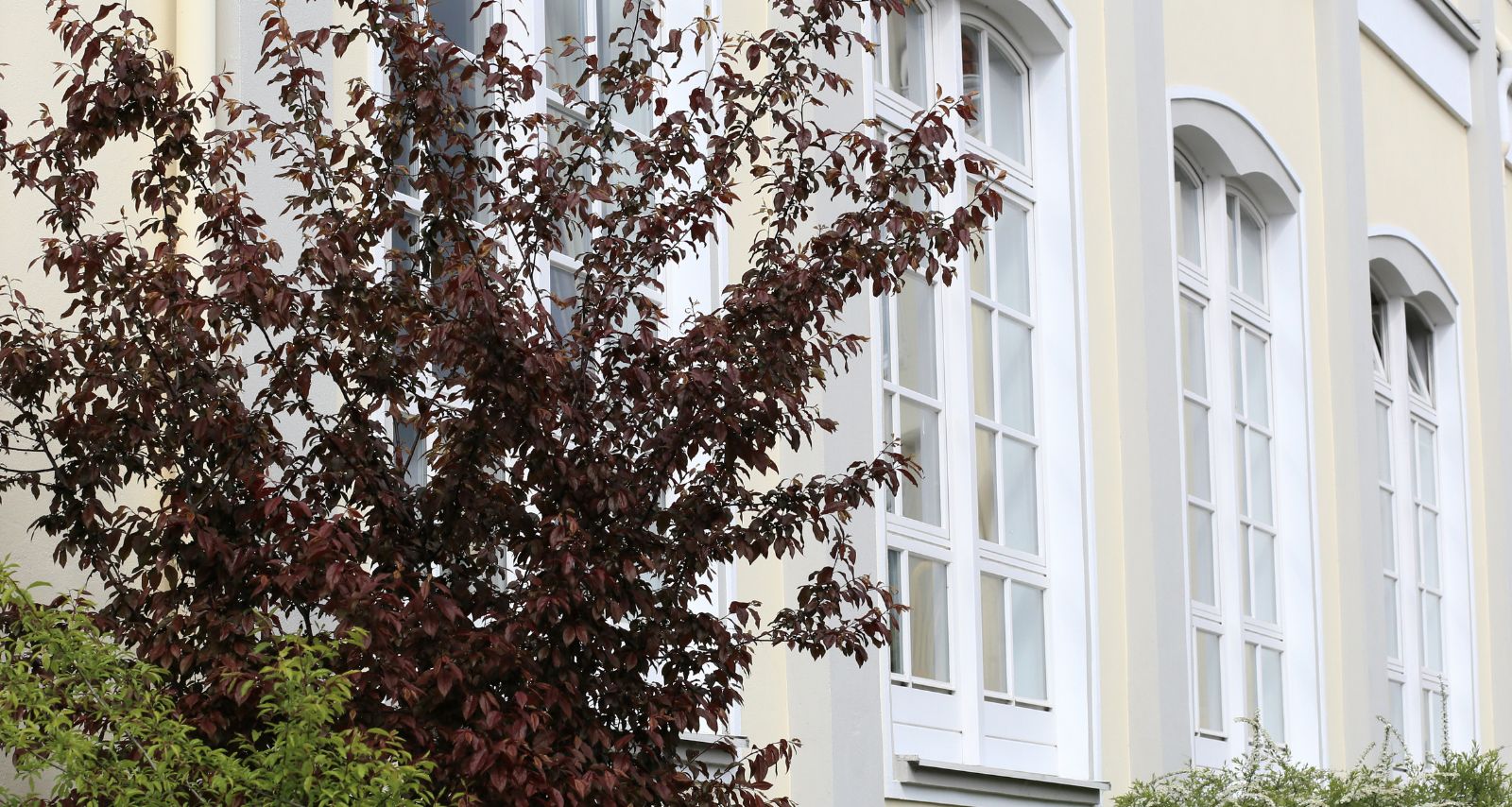 Gebäude von außen mit einem Strauch 