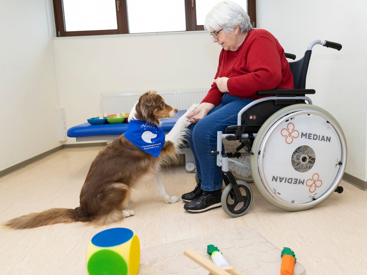 Der Therapiehund mit einer Patientin