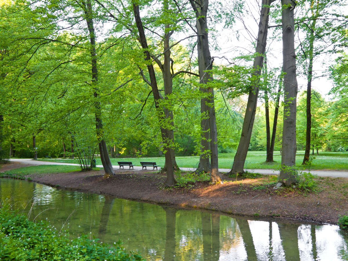 Ein Park mit Sitzmöglichkeiten 