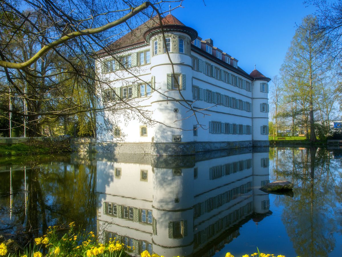 Weißes Wasserschloss in Bad Rappenau mit Eckturm, umgeben von Wasser und Bäumen
