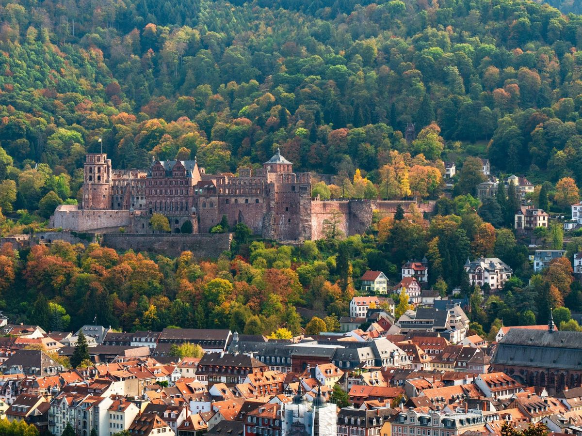 Heidelberger Schloss über den Dächern der Altstadt vor einem herbstlich bewaldeten Hang