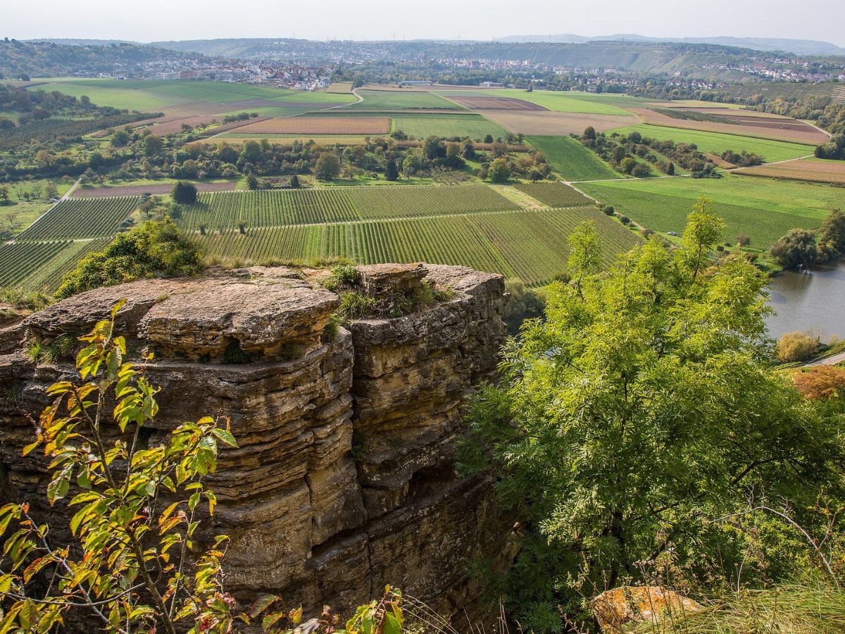 Felsblöcke und Bäume im Vordergrund, dahinter Felder und eine Neckarschleife bei Hessigheim